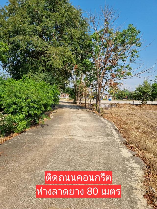 ที่ดินเปล่าถมแล้ว 200 ตารางวา สาธารณูปโภคพร้อม 5