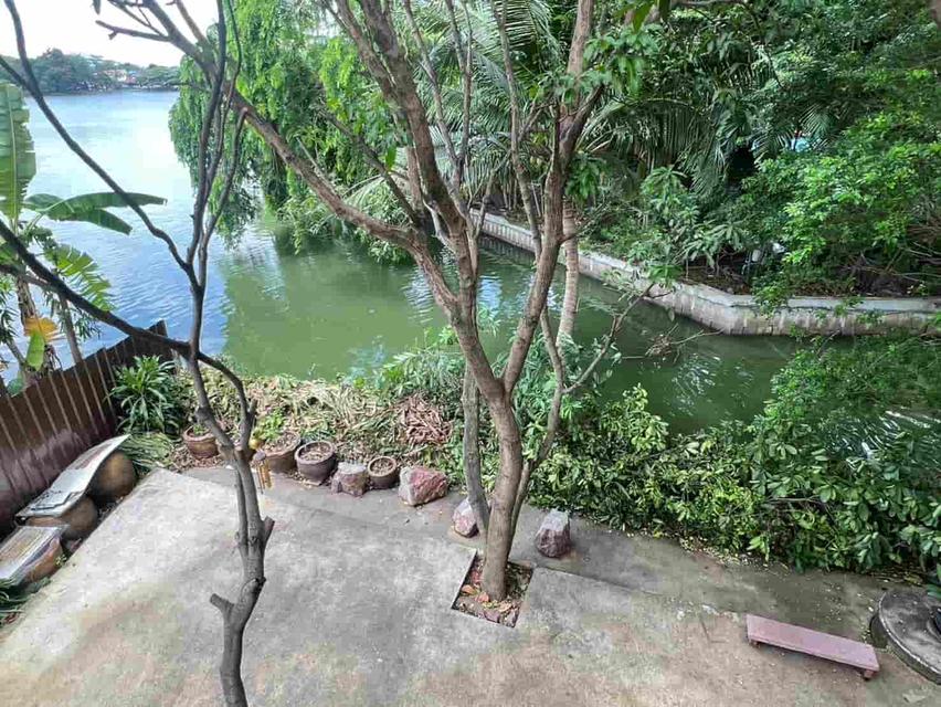 บ้านติดทะเลสาบกลางเมือง! บรรยากาศรีสอร์ทในหมู่บ้านสัมมากร รามคำแหง 9