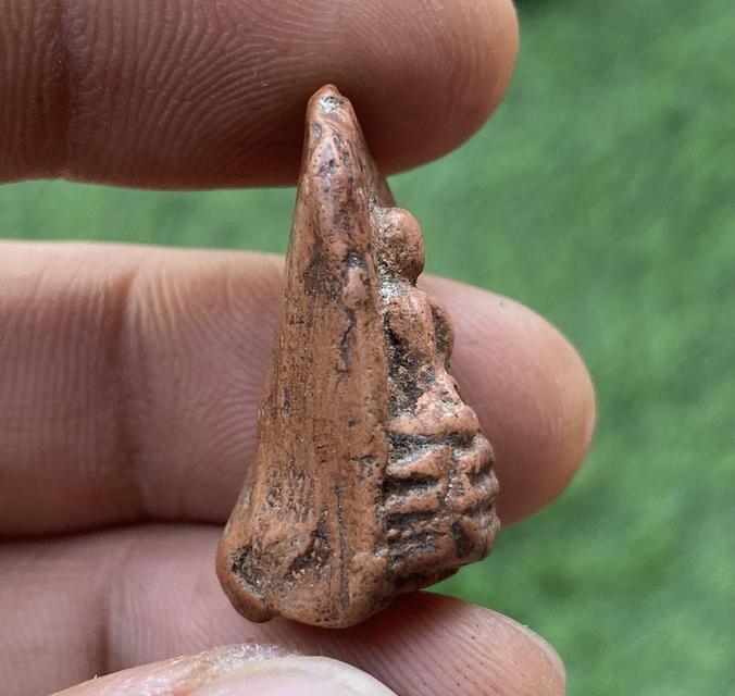 พระคงแดง กรุเก่า จังหวัดลำพูน รูปย่อยที่ 4