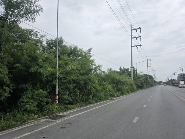 ขายที่ดินเปล่า 8-3-73.3 ไร่ ถนนสวนพริกไทย แยกตึกเหลือง เมืองปทุมธานี ใกล้วัดเสด็จ 2