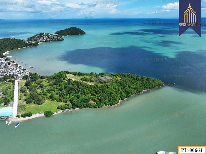 ขายที่ดิน ติดทะเล 51 ไร่ ภูเก็ต เกาะสิเหร่ ใกล้ท่าเรือรัษฎา ไปเกาะพีพีและอ่าวต้นไทร