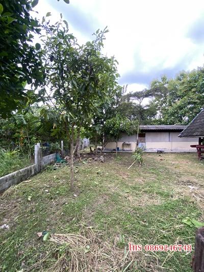 บ้านพร้อมที่ดิน200ตารางวา 2