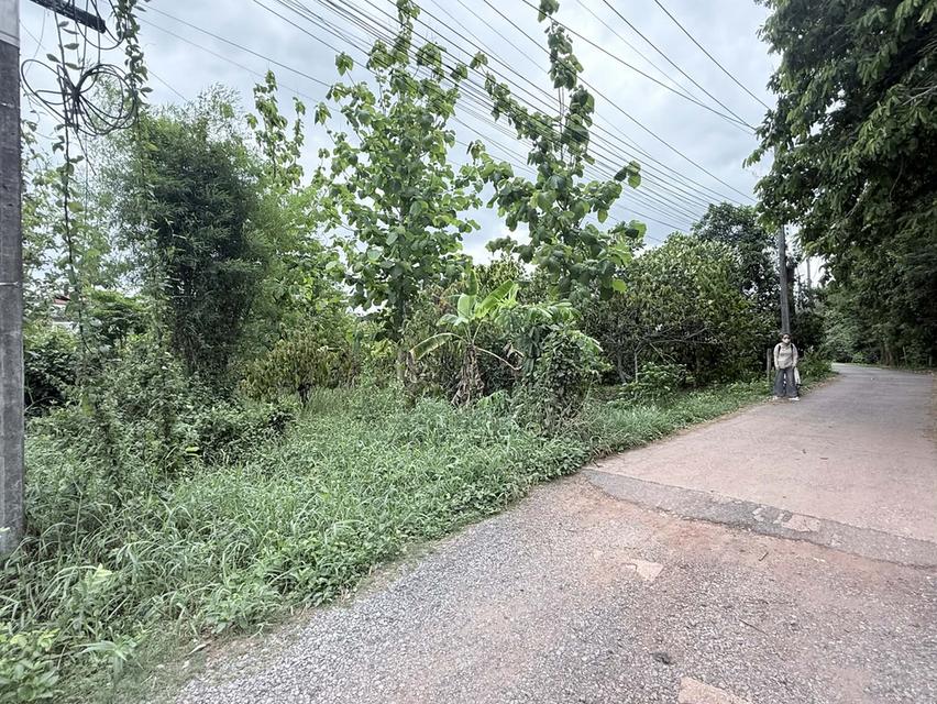 ที่ดิน ใกล้เขาใหญ่ ปราจีนบุรี ต.เนินหอม 3
