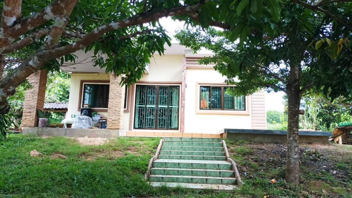 ที่ดินจังหวัดเชียงใหม่ 7-1-71 ไร่ 7