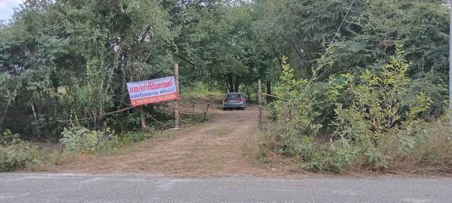 ใกล้ปีใหม่ดูทรัพย์มีมูลค่า ขายที่สวยติดทางหลวง1107 บ้านตาก จ.ตาก คมนาคมสะดวก ไร่ละ 300000 ต.ตากตก อ.บ้านตาก จ.ตาก 083712 1