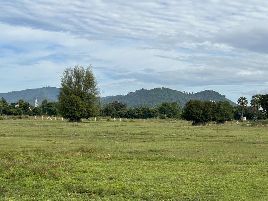 ที่ดิน ราคาถูก ๆราคานี้ หาไม่ได้เเล้ว  โฉนดครุฑเเดง 5