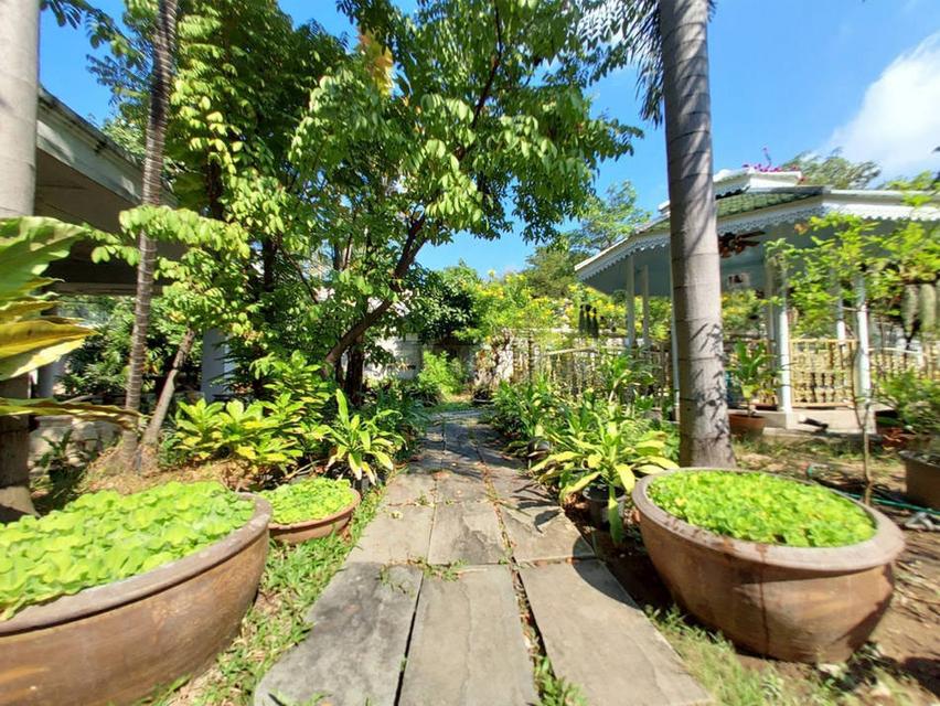 บ้านเดี่ยว 119 ตร.วา ใกล้รถไฟฟ้า 290 เมตร สุขุมวิท ปากน้ำ สมุทรปราการ ราคา 12.8 ล้าน เจ้าของขายเอง 083-898-3444 7