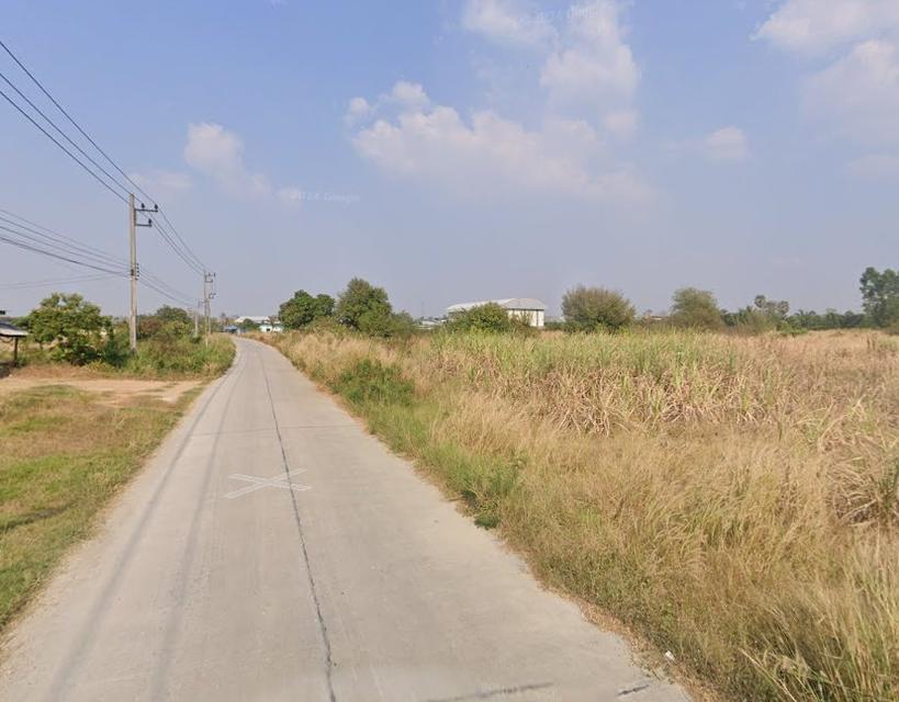 ขายที่ดินหนองหงษ์ 4 ไร่ ติดถนนบ้านไร่-หนองกาน้ำ ใกล้ถนน3023-500เมตร อ.พานทอง ชลบุรี 3