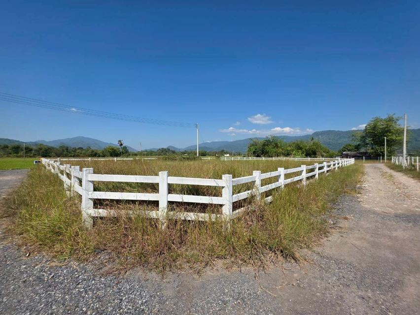 ขายที่ดินเปล่า ใกล้อ่างเก็บน้ําห้วยปรือ เขาพระ นครนายก 2