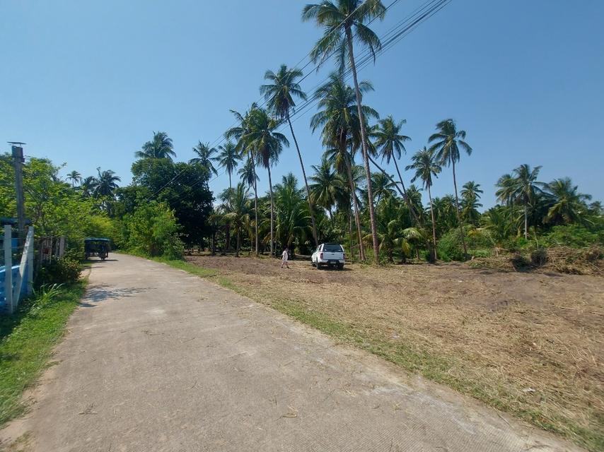 ที่ดินผืนใหญ่ใกล้ทะเล สำหรับคนที่ต้องการความเป็นส่วนตัว 15