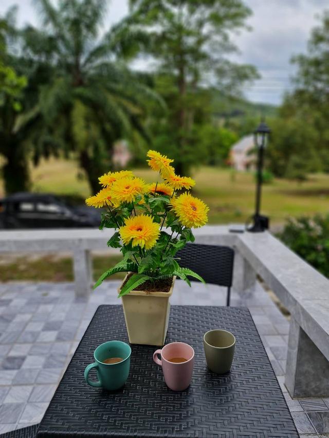 บ้านในหุบเขาโครงการ Boorksied valley 3