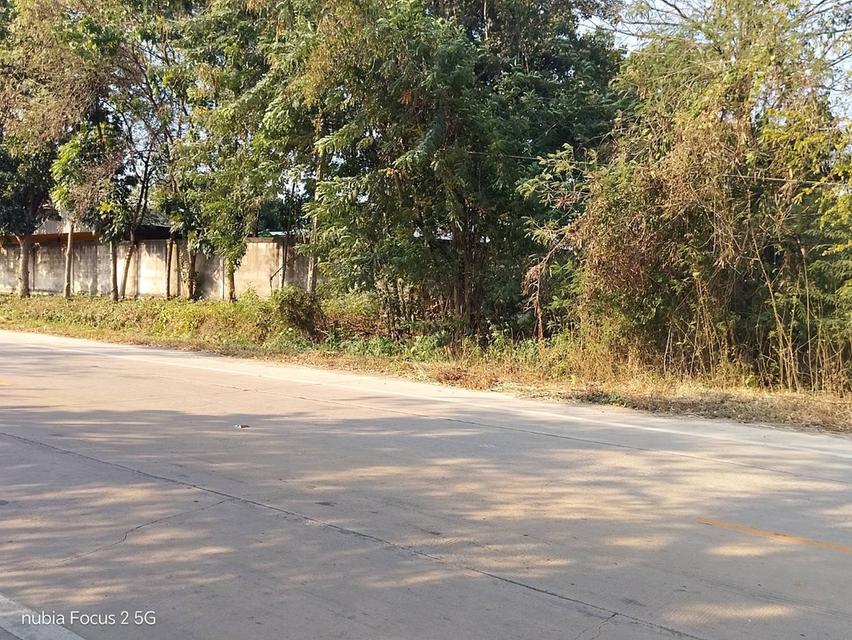 ขายที่ดิน13ไร่(2แปลง) ติดถนนยางโทน จังหวัดราชบุรี 4