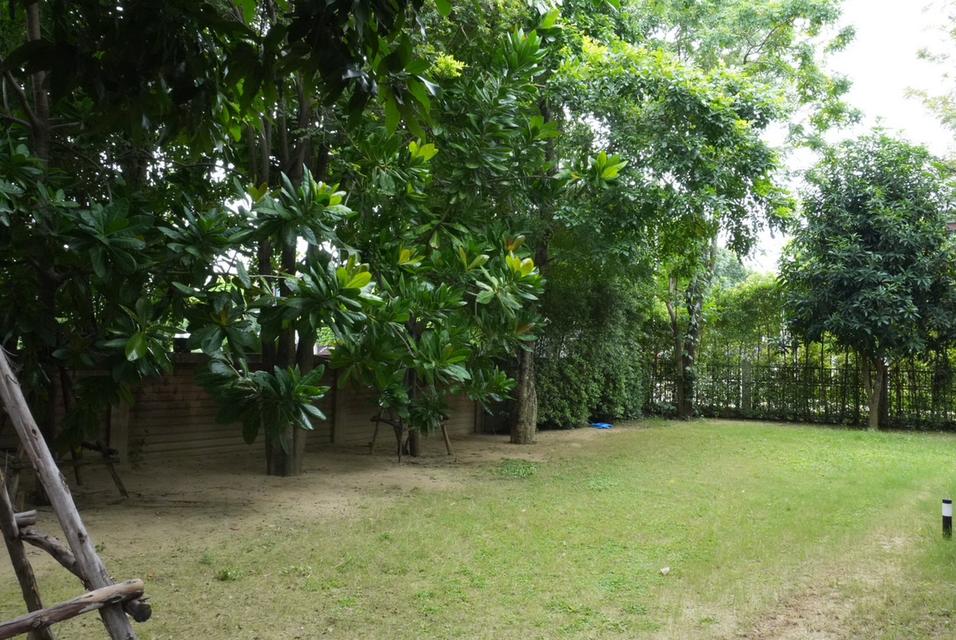 ขายบ้านหรูหลังใหญ่ 199 ตร.ว. พร้อมอยู่ | พื้นที่ใช้สอย 745 ตร.ม. | เพียง 28 ล้านบาทเท่านั้น!! 8