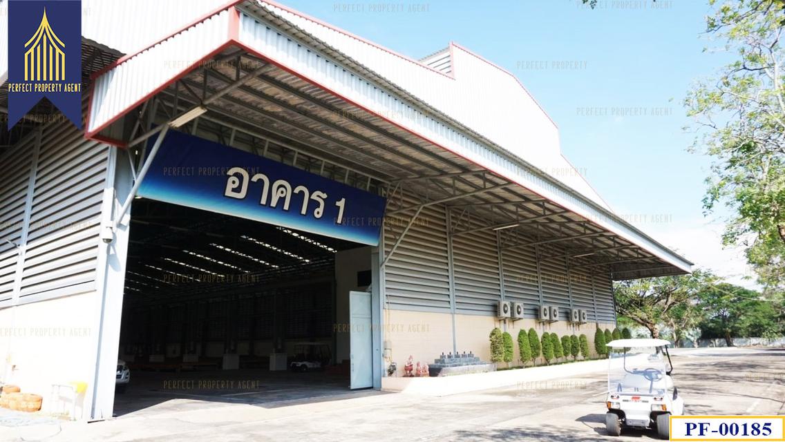 ขายที่ดินพร้อมโรงงาน 130 ไร่ ปราจีนบุรี 5