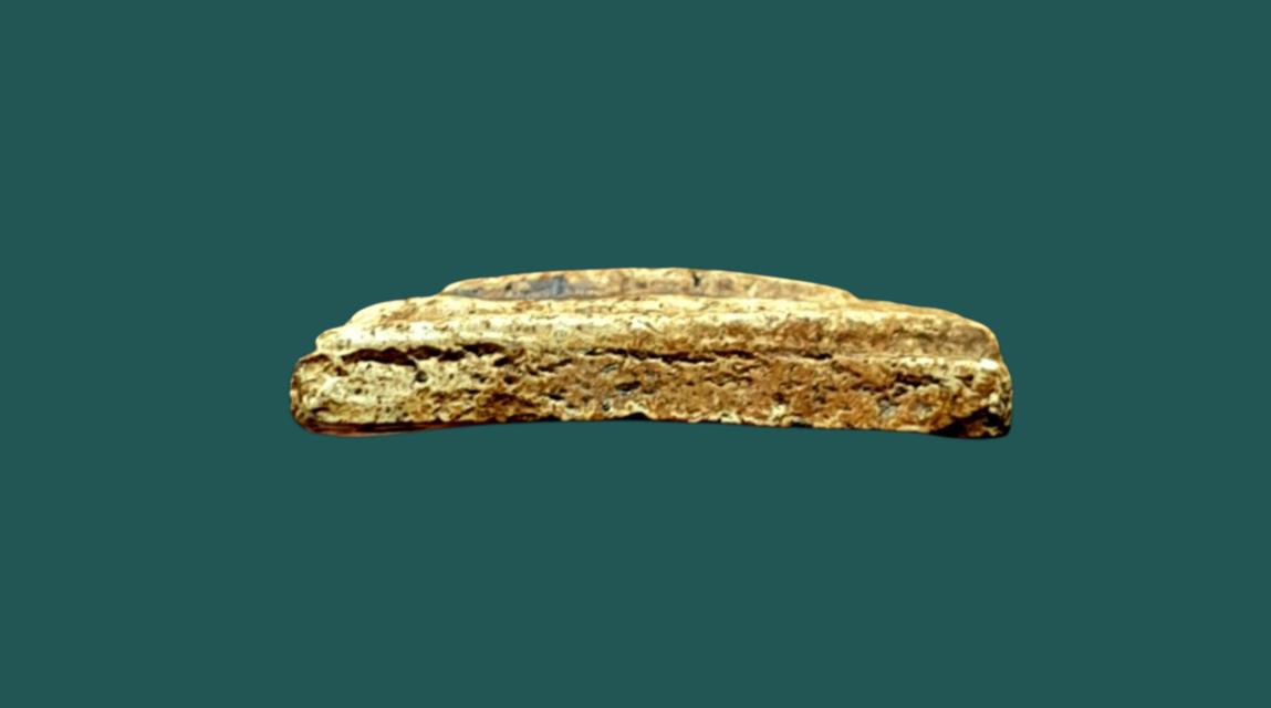 "สมเด็จวัดระฆัง อกครุฑเศียรบารตพิมพ์ใหญ่" 10