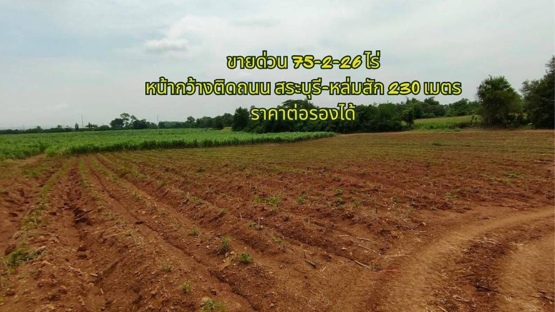 ขายที่ดินทำเลศักยภาพ อำเภอวิเชียรบุรี จังหวัดเพชรบูรณ์  ติดถนนไฮเวย์สาย 21 สระบุรี–หล่มสัก 2