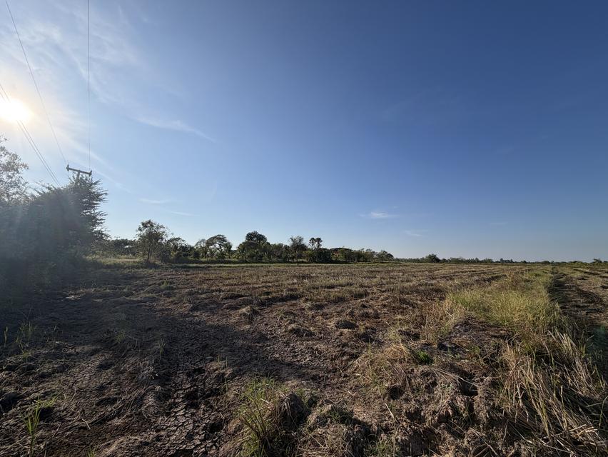 📍ขายที่นา 4ไร่ 3งาน 3.1ตารางวา หน้ากว้าง 40 เมตร 💵ราคา 1,600,000 น้ำไม่เคยท่วม มีไฟฟ้า น้ำปะปา  ติดถนน 10