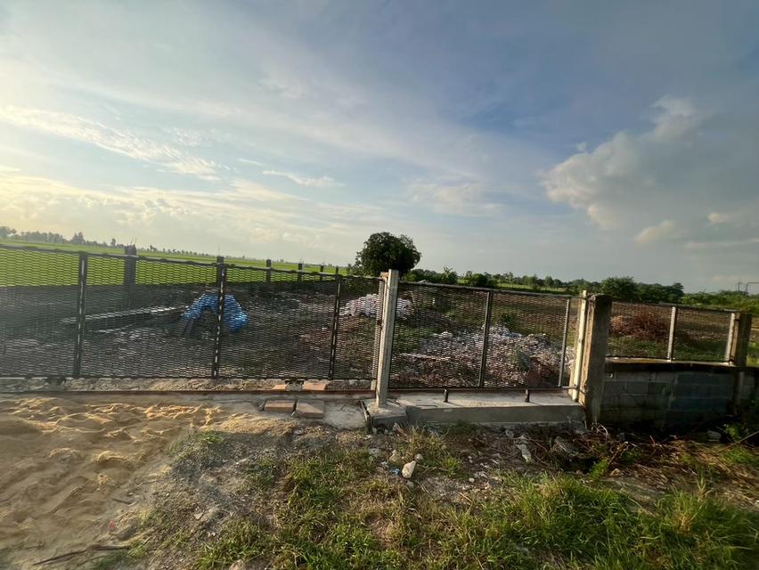 ที่ดินหนองจอก-บางน้ำเปรี้ยว 9