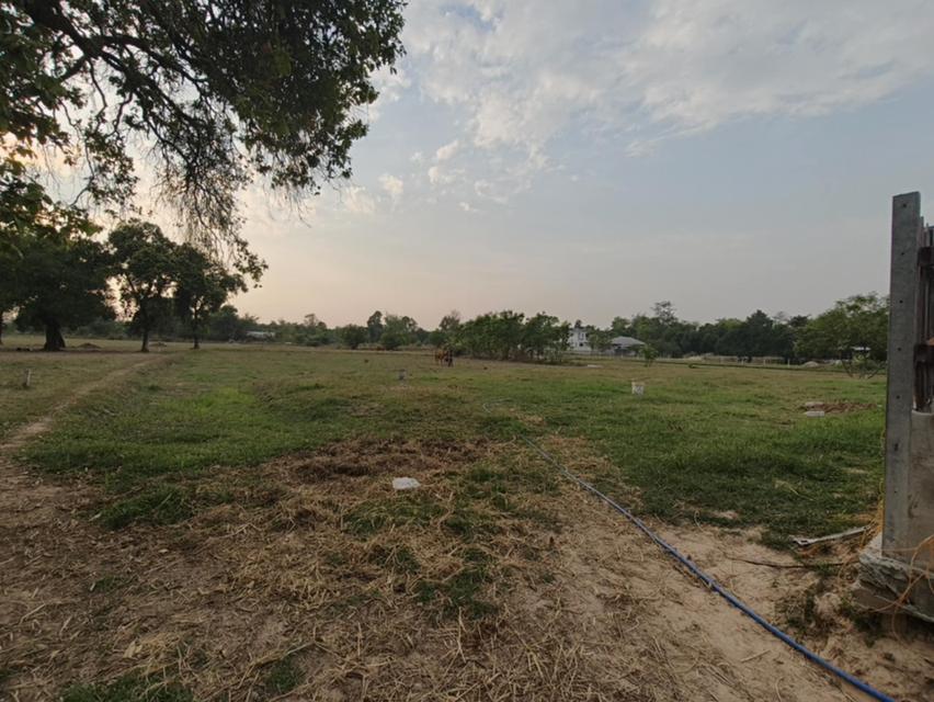 ขายที่ดินแปลงใหญ่ บ้านทุ่งขุนน้อย อุบลราชธานี ** เพียง 1.5 ลบ. ฟรีโอน ** (N.2029) 13