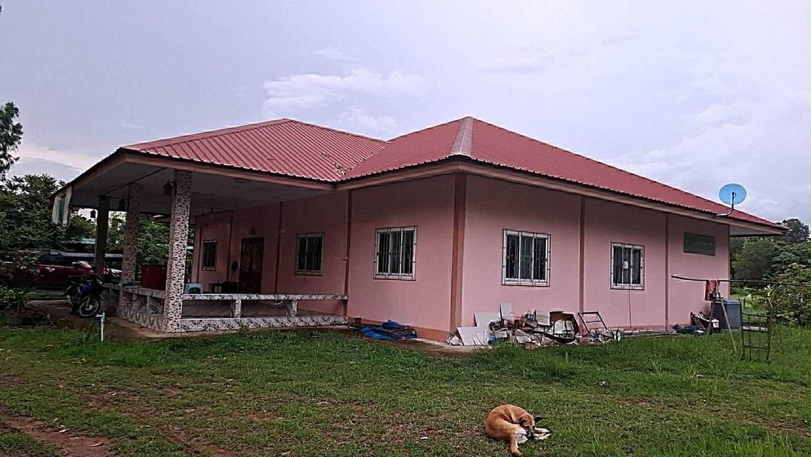 ที่ดินพร้อมอสังหา 9 ไร่ 1 งาน 8 ตารางวา 8