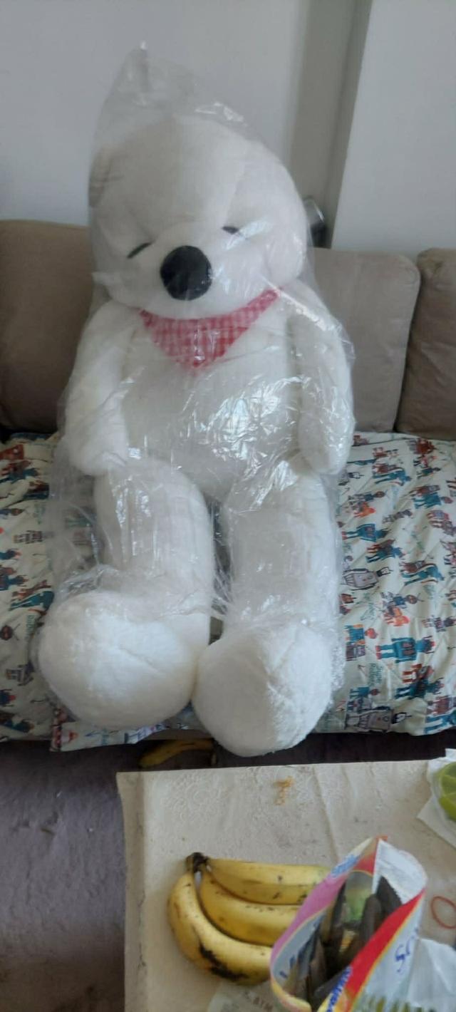 ตุ๊กตาหมีขาวกับผ้าพันคอแดง 2