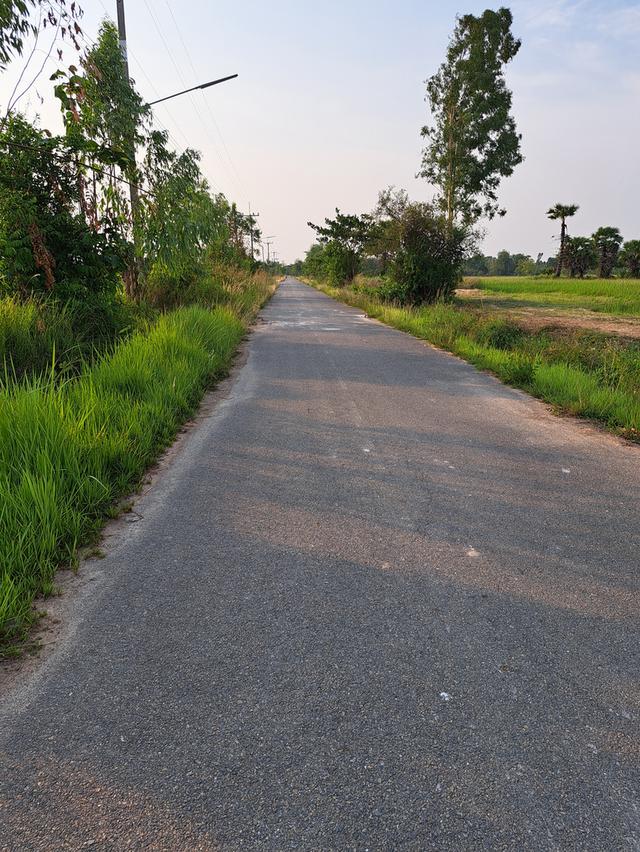 ขายที่ดิน วิวเขา ติดถนน 1งาน 79วา ต.บ้านธิ อ.บ้านธิ จ.ลำพูน 6