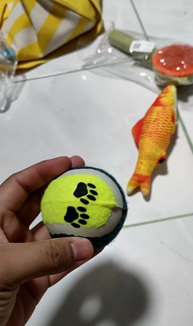 เทนนิสสำหรับน้องหมา 3