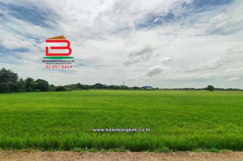 ที่ดินเปล่า เนื้อที่ 11-1-27.7 ไร่ ใกล้วัดชัยสิทธาราม ถนนเลียบคลองหางบางศาลา ตำบลจรเข้ร้อง อำเภอไชโย อ่างทอง 2