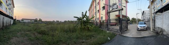 ที่ดินติดมหาลัยมหาสารคาม 280 ตร.ว 3