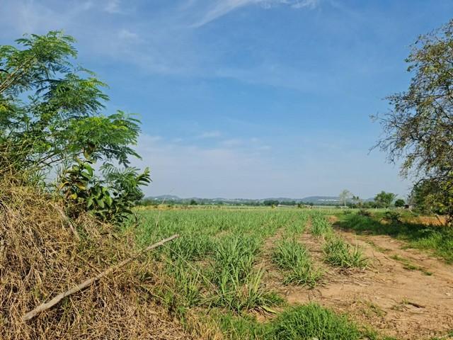 รวมบ้านที่ดินดีงามเพื่อคุณ ที่ปากช่อง 2ไร่- 8ไร่ โฉนด ต.วังไทร อ.ปากช่อง จ.นครราชสีมา ไร่ละ 2.9 ลบ.สูงจากระดับน้ำทะเลมาก 8