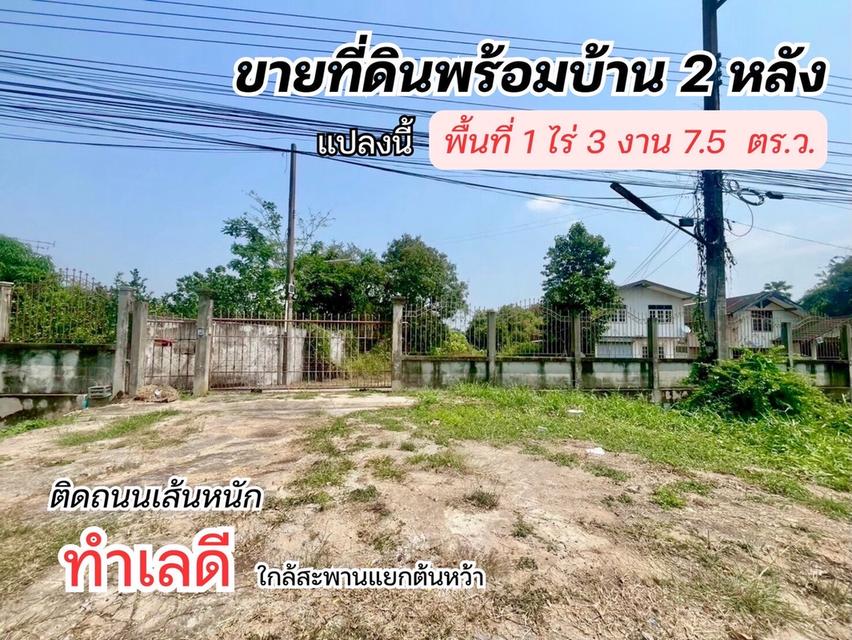 ที่ดินในจังหวัดพิษณุโลก 1