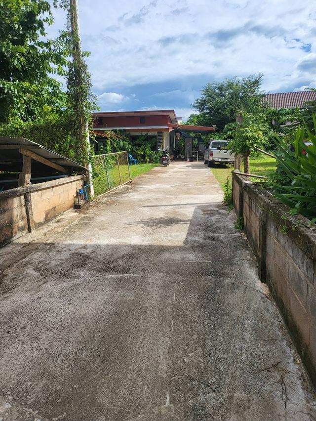 🏡 ขายที่ดินพร้อมบ้าน ทำเลดี เชียงราย ใกล้สนามบินแม่ฟ้าหลวงฯ ✈️ เจ้าของขายเอง 1