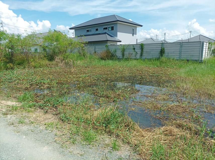 ขายที่ดิน 60 ตร.ว. ต.ตลาดขวัญ อ.ดอยสะเก็ด จ.เชียงใหม่ 3