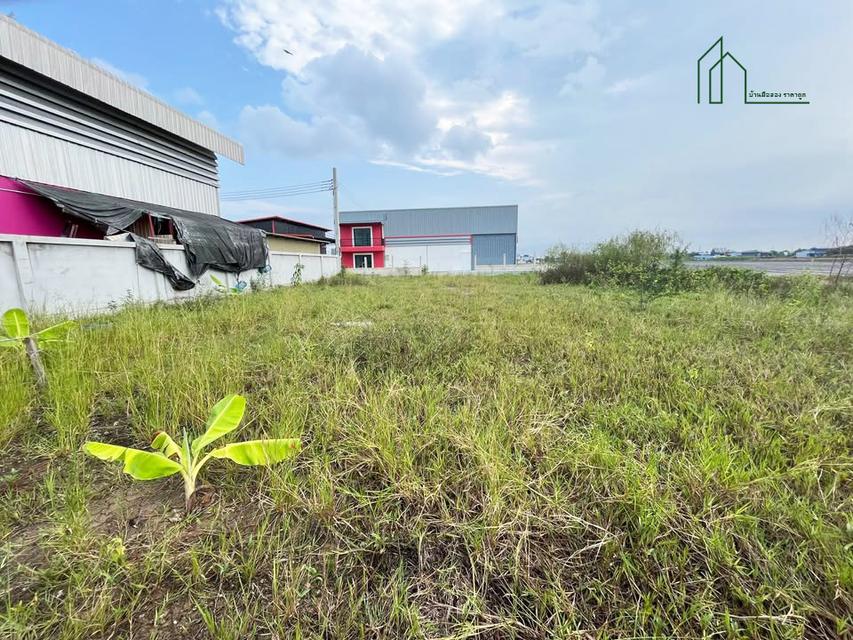 ขายโกดัง พร้อมออฟฟิศ และที่ดินถมแล้ว ขนาดที่ดินทั้ง 2 แปลงรวม 251 ตรว. คลองขวาง นนทบุรี 4