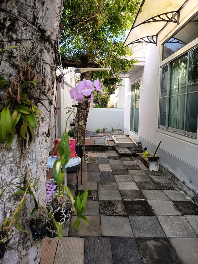 ขาย 4.9/เช่า23,000 ชัยพฤกษ์ ใกล้เซ็นทรัลเวตเกต บ้านเดี่ยว โซนบางใหญ่ นนทบุรี 16