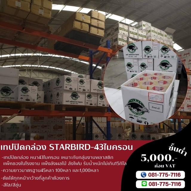 เทปปิดกล่อง เทปหนา43ไมครอน เทปยี่ห้อสตาเบิต Starbird  4