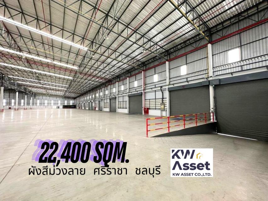 ให้เช่าโรงงาน/โกดัง 22,400 ตรม. เขาคันทรง ศรีราชา จ.ชลบุรี  🟪#ผังสีม่วงลาย  ☑️ เนื้อที่ดิน 25 ไร่  ☑️ ขนาดโรงงาน 22,400 ตรม 3