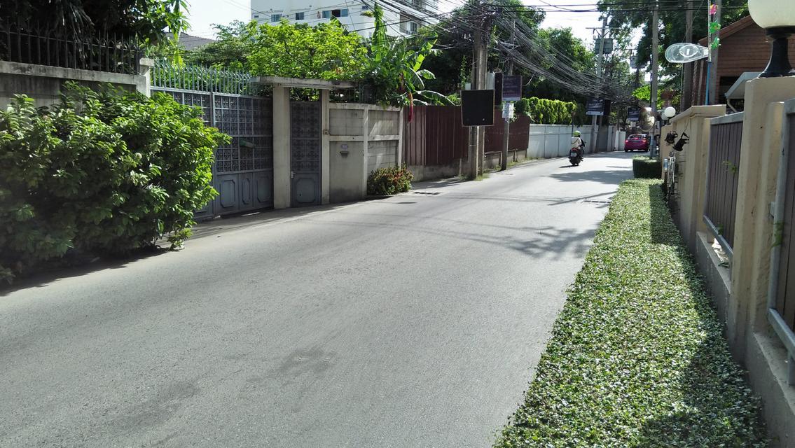RENT LAND SMALL  CLOSED ROAD IN THE SOI SUKHUMVIT 71 suitable for  project Phrakhanong   1