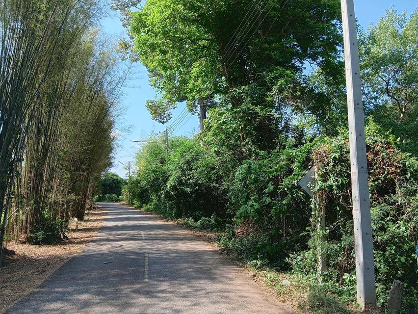 ที่ดินพนัสนิคม 6 ไร่เศษ