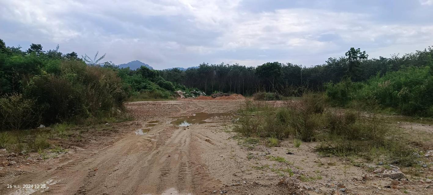 ขายที่ดินเปล่า ถลาง ภูเก็ต Land for Sale in Phuket 3