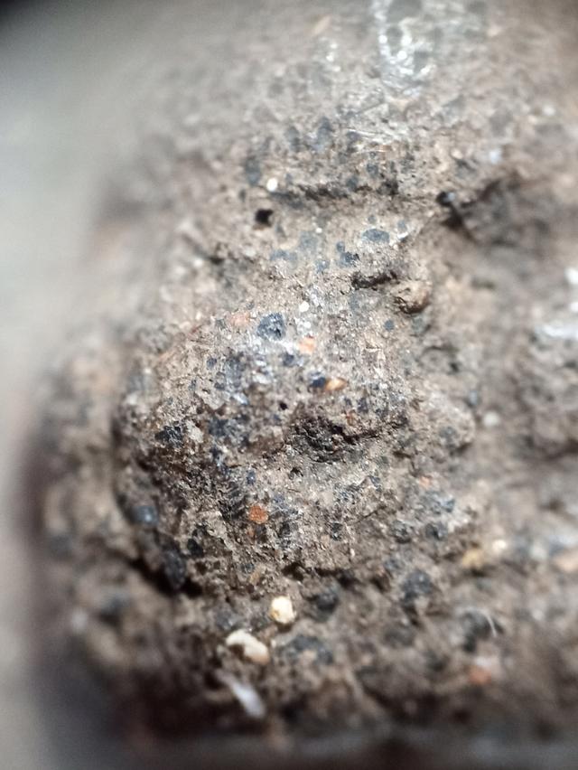 หลวงปู่ทวดเนื้อว่าน 2497 7