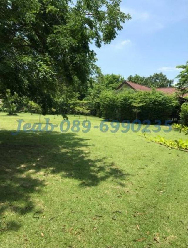 ที่ดินสวย ขายพร้อมสิ่งปลูกสร้าง คลองหลวง ปทุมธานี 3