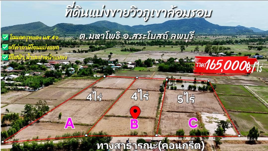ที่ดิน สระโบสต์ จ. ลพบุรี ไร่ละ 165,000 บาท 1