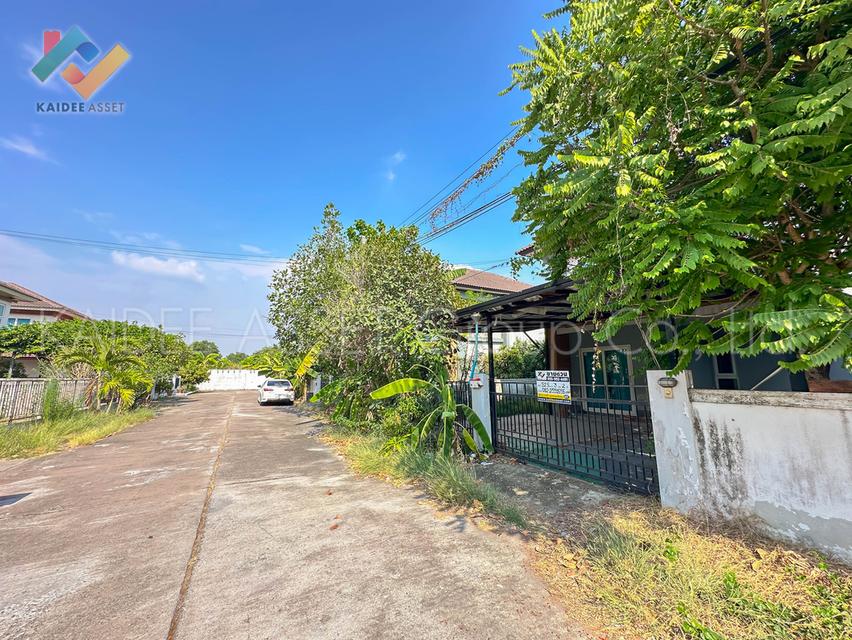 เค.ซี. กรีนวิลล์ หนองจอง | บ้านเดี่ยว ถนน มิตรไมตรี ขายถูก 2