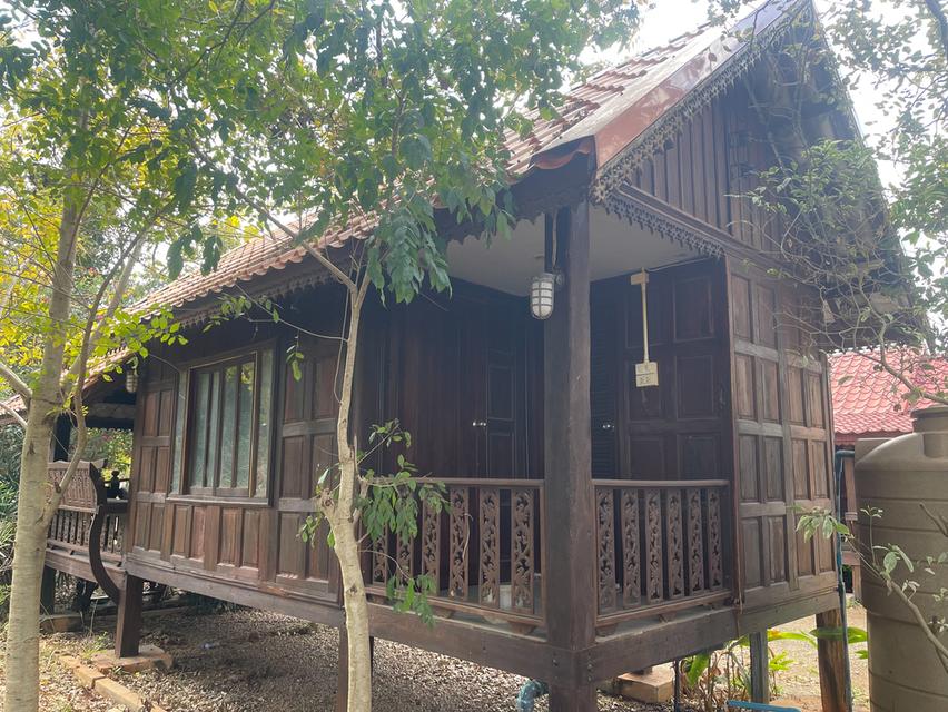 ขายที่ดินพร้อมบ้านพักตากอากาศ ทำเลทอง หนองน้ำแดง เขาใหญ่ นครราชสีมา 15