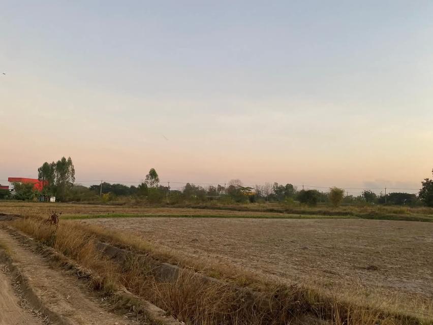 ที่ดิน ที่นา ขอนแก่น 3