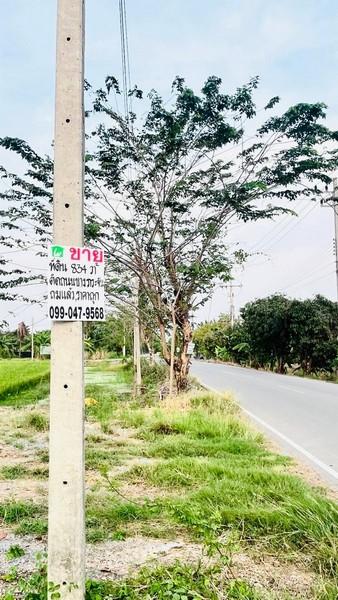 ขายด่วนที่ดิน 2 ไร่ ใกล้ศาลายา เหมาะสร้างบ้านพักอาศัย ร้านกาแฟคาเฟ่ ประกอบธุรกิจ - ghd000541 3