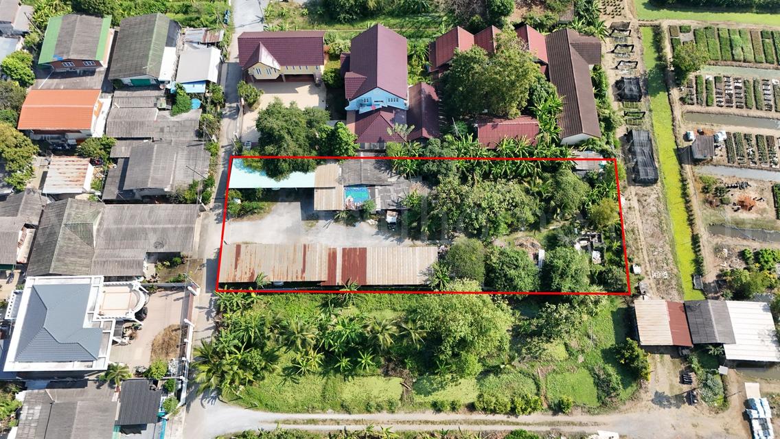 ที่ดิน 1 ไร่ ซอย สุคนธวิท 29 กระทุ่มแบน - สมุทรสาคร ราคาถูก 3