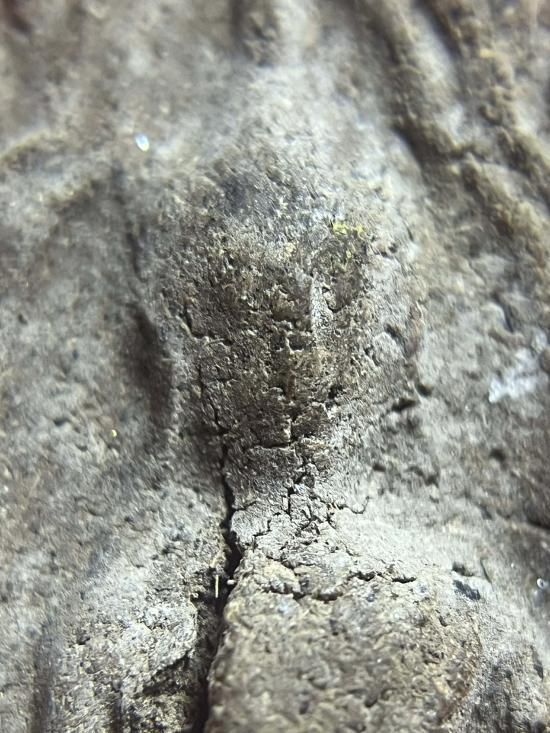 ขุนแผนดิน 7 ป่าช้าผงพรายตอกตะปูฝาโลงไม่รู้ที่เนื้อหาจัดจ้าน