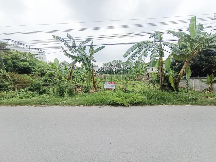 ขายที่ดิน 120 ตรว.ถมแล้ว ซอยคลองสาม 6/5 (ซอยทรัพย์สำราญ)